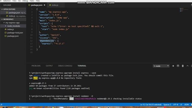 ExpressJS-Install package using npm part-2