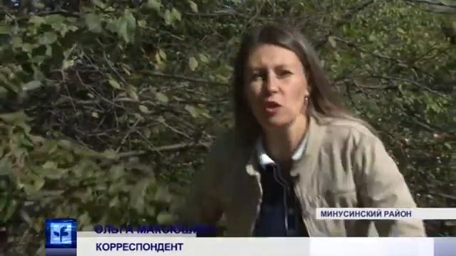 Яблочный сезон (Енисей Минусинск) смотреть онлайн