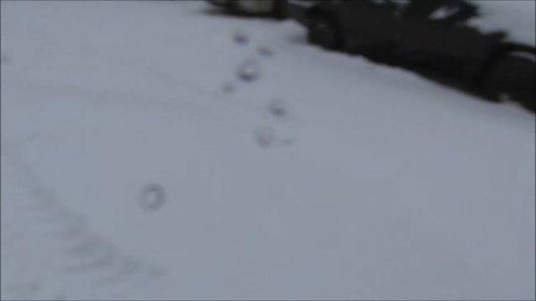 Весна в Казани