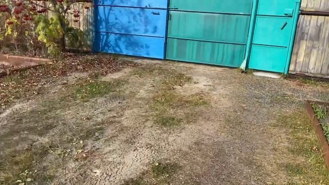 # ГРИБЫ ПОД СНЕГОМ?/ ПОЛНЫЙ ОТДЫХ НА ОСЕННЕЙ ДАЧЕ? #грибы #лес #дача смотреть онлайн