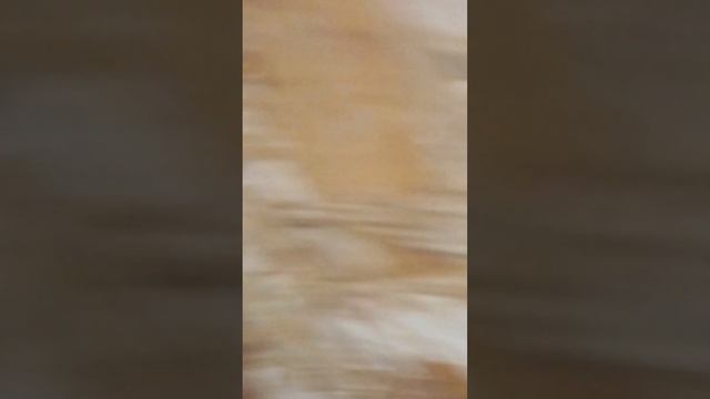 лифт в ад. очень страшно на 5 этаже смотреть онлайн
