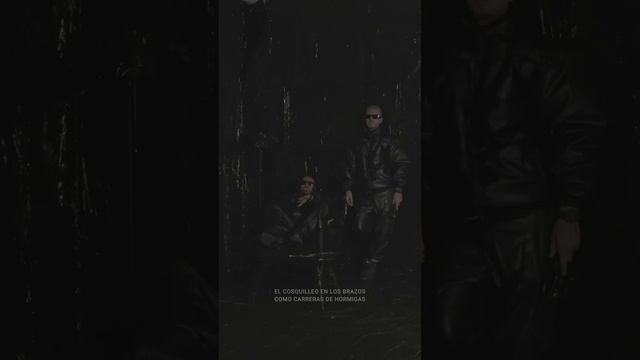 EASY-S TOTEKING - CORDÓN DE ORO смотреть онлайн