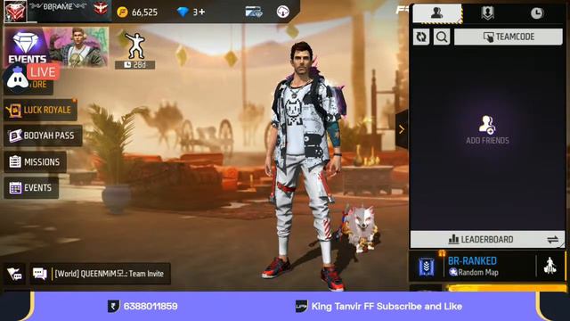 Free Fire Live Bangladesh Server-Rank And CS-Rank And Guild Test. смотреть онлайн