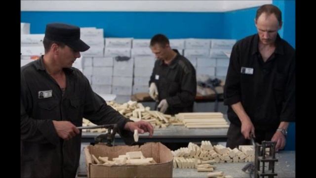 К чему приводят азартные игры в тюрьме смотреть онлайн