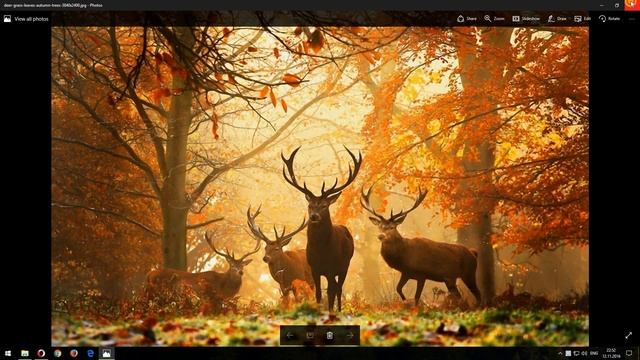 Как изменить фон рабочего стола Windows 10 смотреть онлайн