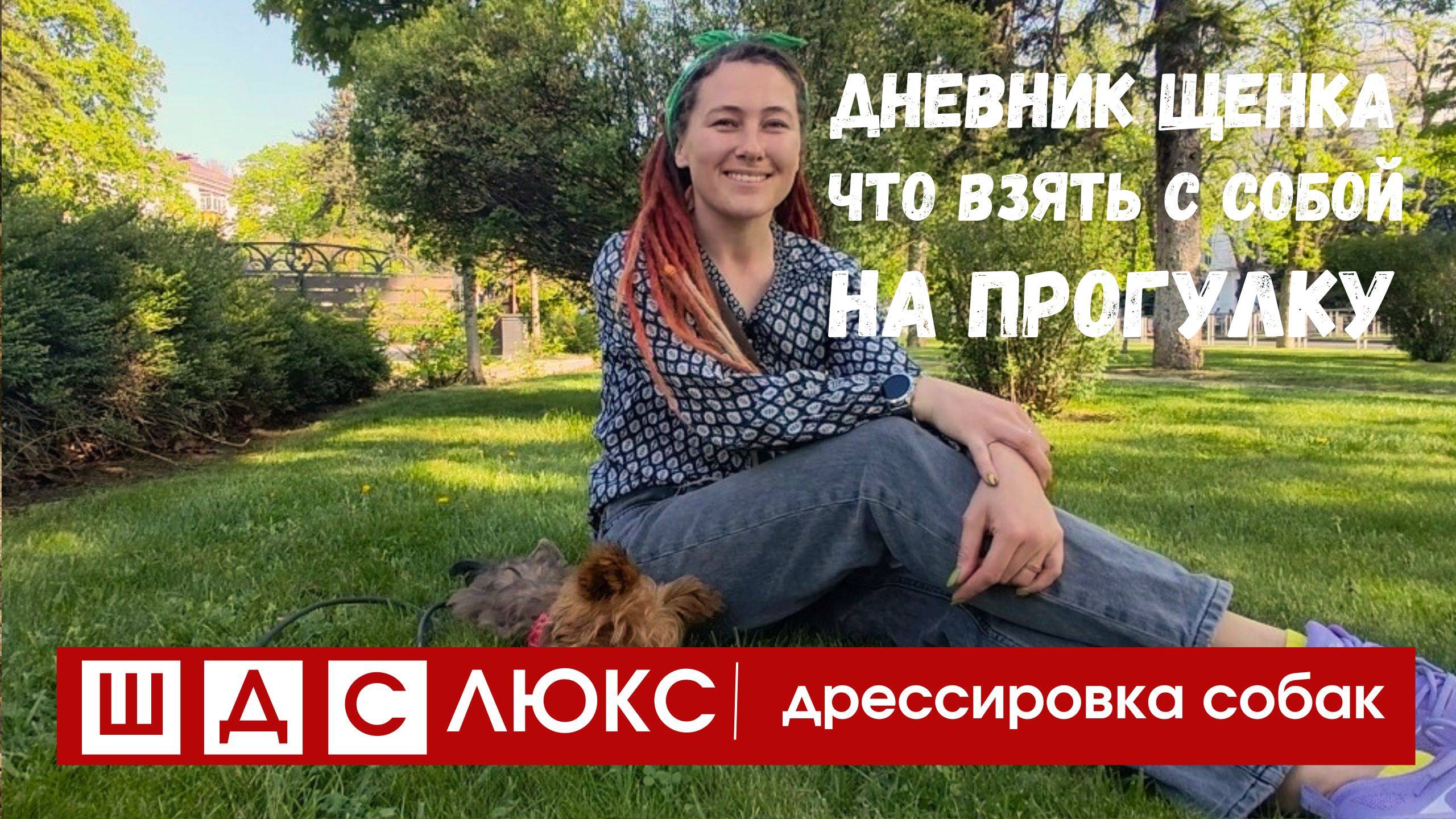 Дрессировка собак