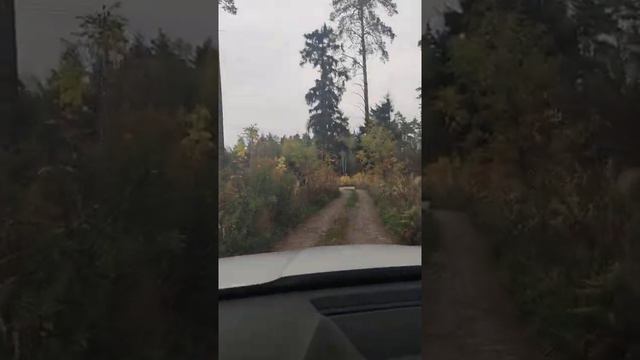 дорога из СНТ Звероножка смотреть онлайн
