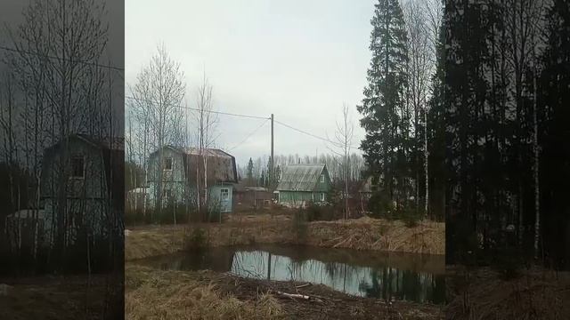 Утка на дачном пруду. Крохаль средний. смотреть онлайн