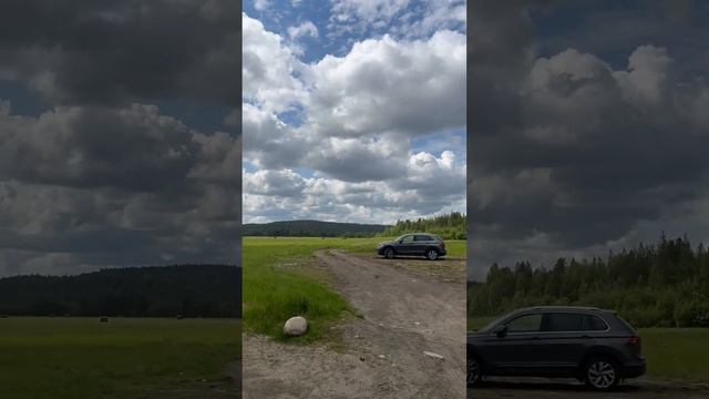 Северная Норвегия 🇳🇴. Местная саванна 🛖🌍 Африка. Прогулка на 🚴♀️велосипеде. Мишки 🧸 смотреть онлайн