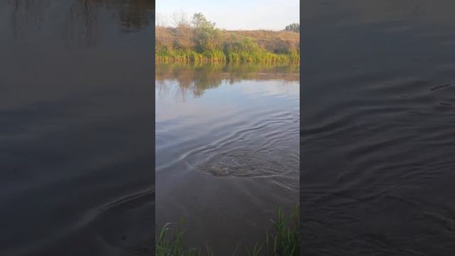 РЫБАЛКА. КОЧУБЕЙ 05.05.2017 смотреть онлайн