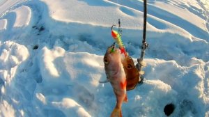 91.ПЕРВЫЙ ВЫЕЗД Этой зимой.РЫБАЛКА НА Камском водохранилище.Ловля окуня в -30.