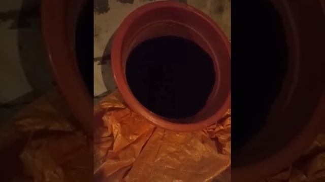 Дендробена. Обзор торфа. смотреть онлайн