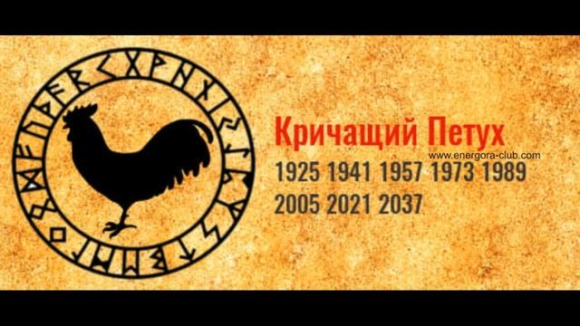 Встречаем "КРИЧАЩЕГО ПЕТУХА." С Новым годом ДРУЗЬЯ!!! смотреть онлайн
