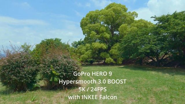 【検証】GoPro専用ジンバル「INKEE Falcon」に最適な設定を探っていると思わぬ結果になった... смотреть онлайн