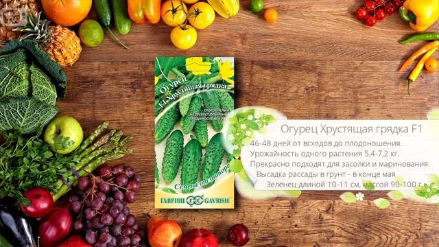 Пучковые огурцы выращивание ? Лучшие сорта огурцов ❗ Обзор семян смотреть онлайн