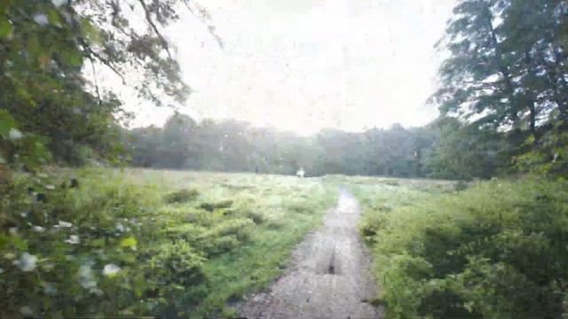 Tranquility Trail | Virtual Run / Walk With Music | Guildford, Surrey | Treadmill Workout Scenery