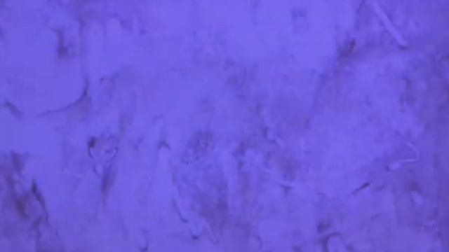 Шум Волн | Короткометражка