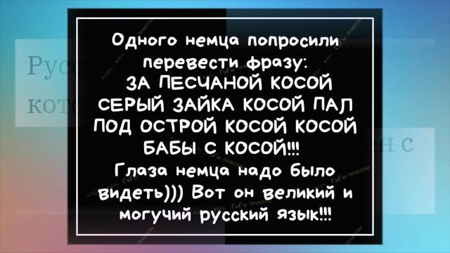 В Швеции есть традиция моргать фарами, что на дороге олень. У НАС тоже есть такая ТРАДИЦИЯ. смотреть онлайн