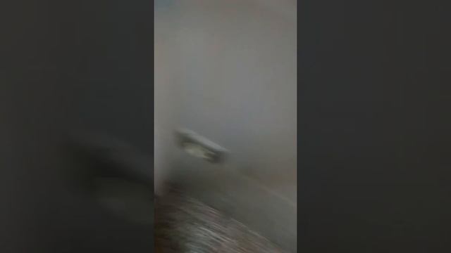 Я делаю видео за ради подпищеков я опускаю руку в кипяток смотреть онлайн