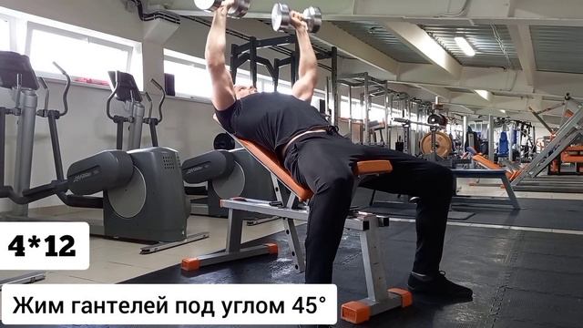 Грудные мышцы (тренажерный зал) план. Pectoral muscles (gym) plan. смотреть онлайн