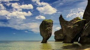 Удивительное Приморье