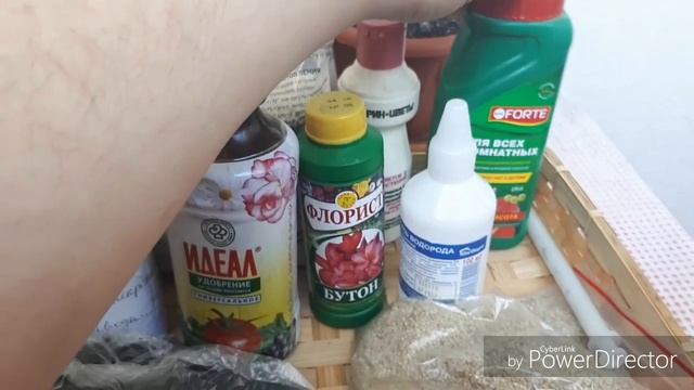 Чем и как удобряю растения/Мои комнатные растения смотреть онлайн