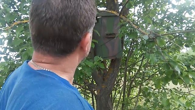 Часть 2. Ставим ловушки, снимаем рои, пересаживаем их в ульи. смотреть онлайн