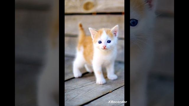 не знаю что написать 2 смотреть онлайн