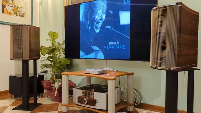 Sara K. - In The Fall (Pathos Logos mkII + Franco Serblin Accordo Goldberg) смотреть онлайн