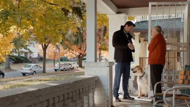 Barkley Perl Golden Retriever Actor in Assassins Code Movie смотреть онлайн