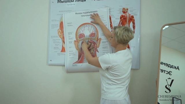 Обучение на курсе массажа лица Глобальное омоложение с Черемисиной Станиславой смотреть онлайн
