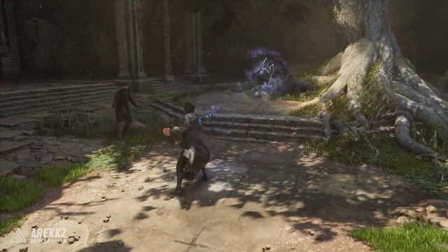 Hogwarts Legacy - New Characters, Confirmed Potions & The Forbidden Forest смотреть онлайн