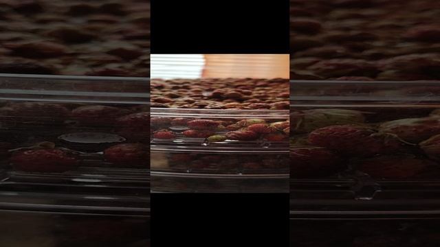 Только сушить! Аромат и вкус напитков волшебный! смотреть онлайн