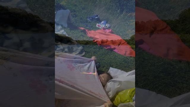 *1 С палитрой на озере Созерцаем Рисуем смотреть онлайн