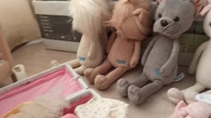 Утро с Лаки Доги🐶