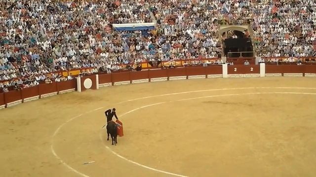 Коррида   захватывающее зрелище