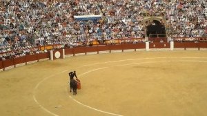 Коррида   захватывающее зрелище