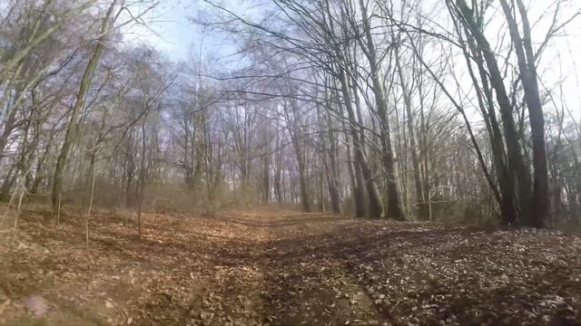 Sharan 2.8 VR6 4 motion offroad смотреть онлайн