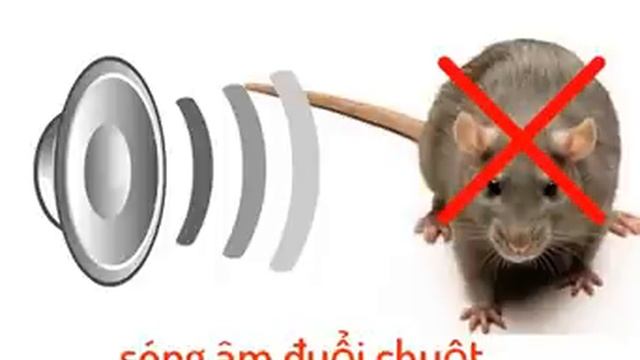 Sóng âm 20000hz đuổi chuột смотреть онлайн