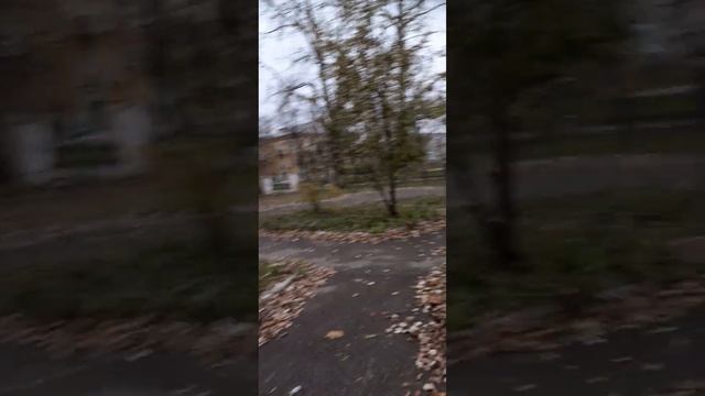 Дзержинск. Курдонёр на улице Клюквина. 28.10.2022 смотреть онлайн