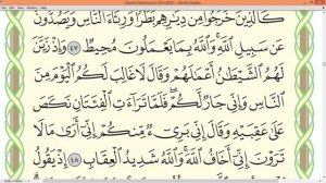 Шейх Айман Сувейд сура Аль Анфаль стр 183