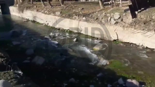 АШТ ПОНГОЗ смотреть онлайн