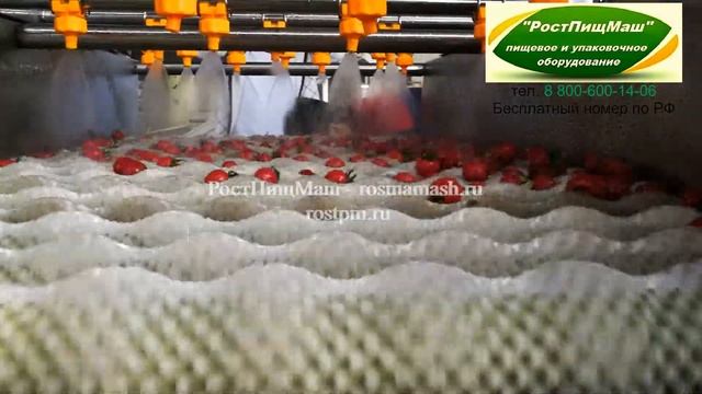 Машина для мойки овощей и фруктов GB-2000 от РостПищМаш смотреть онлайн