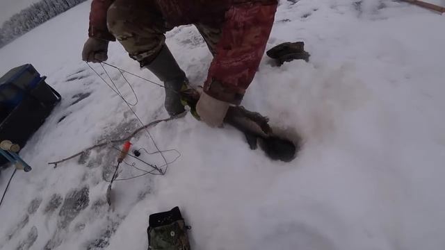 Живём с Батей в Тайге.На Озеро Приходили Волки.Ловим Рыбу на Самоловки! смотреть онлайн