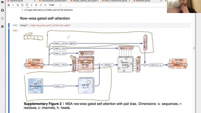 Разбор алгоритмов и идей DeepMind AlphaFold2 с позиции ML-инженерии - Boris Burkov смотреть онлайн