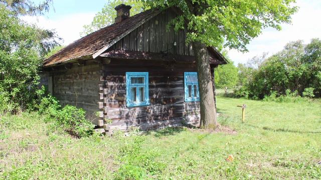 Купили дом в Беларуской деревне. Bought a house in a Belarusian village. смотреть онлайн