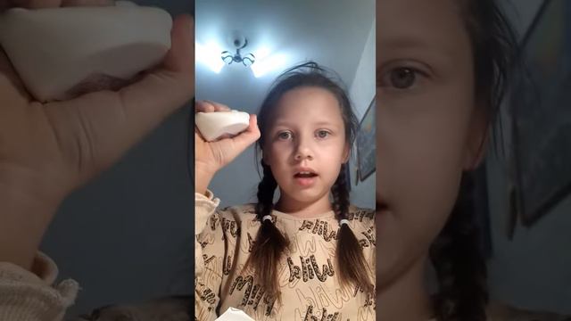 звуко-буквенный разбор слова мышь