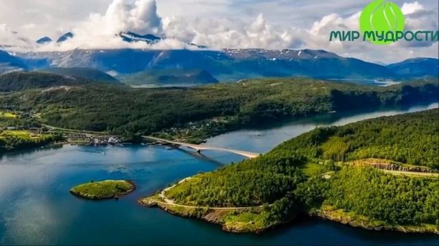 Интуиция - Ключ к подсознанию! Андерсон и НикОшо аудиокнига смотреть онлайн