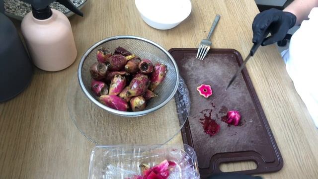 Как кушать кактус? Плоды кактуса опунции смотреть онлайн