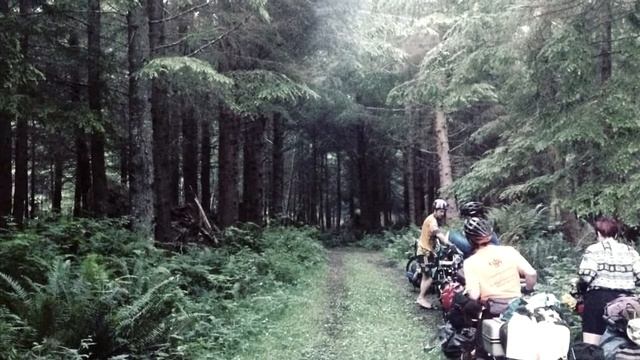 Live show: “Wild Women Ways” by Sass N Harmony смотреть онлайн